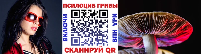 Купить где  Мурино  Псилоцибиновые грибы мицелий 